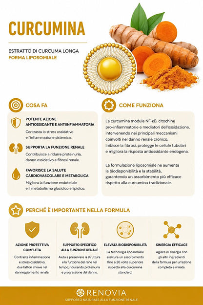 Renovia